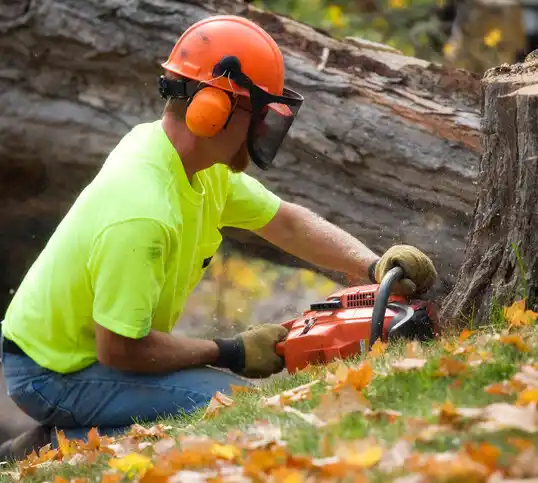 tree services Isle